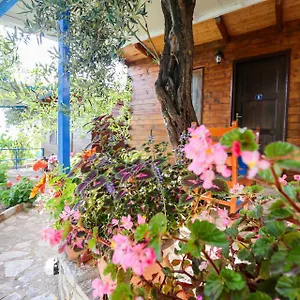 Holiwood Motel Himarë
